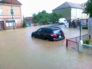 Olszyna pod wodą