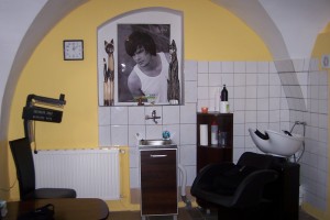 salon (2)