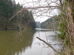 P1150560e