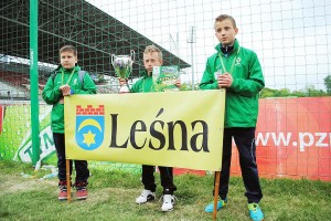 DSC_4536_lesna