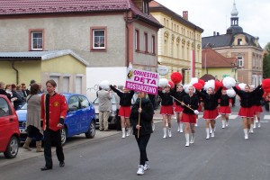 orkiestry (17)