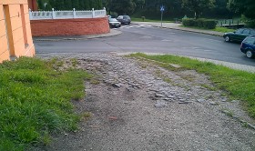 luzycka (3)