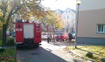 IMAG0614
