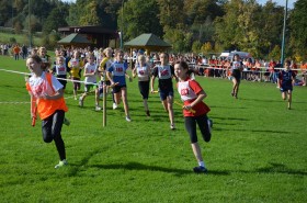 olszyna (3)