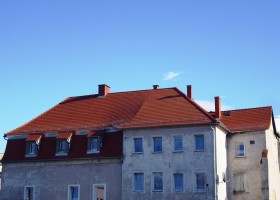 Lesna (7)
