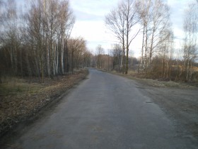 IMGP0335