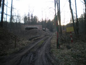 IMGP0337