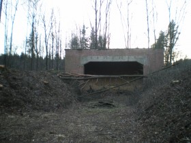 IMGP0338