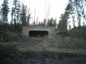 IMGP0339