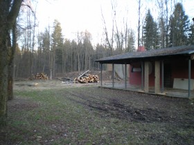 IMGP0341