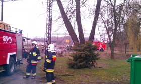 IMAG0687
