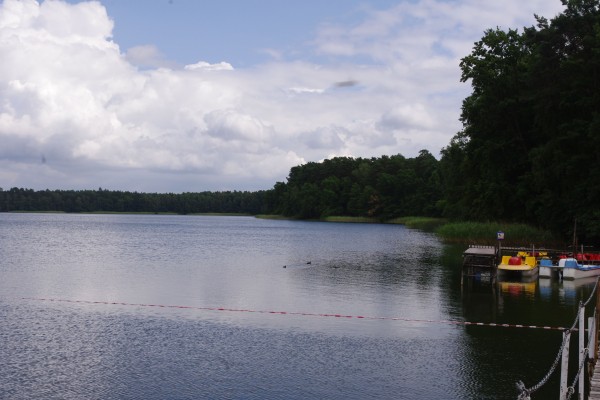 IMGP4829