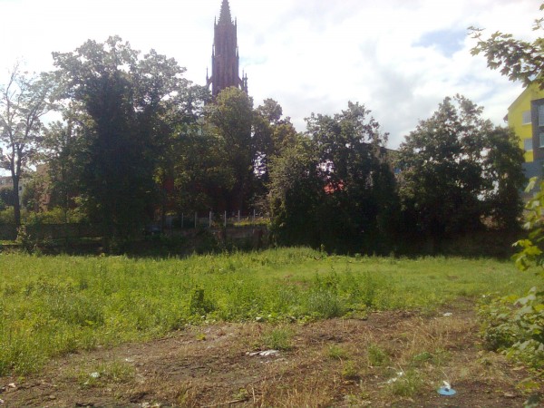 Zdjęcie0159