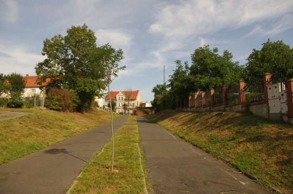 IMGP5162