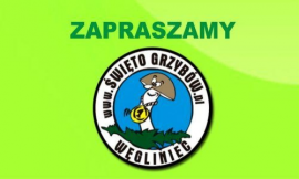 grzyby