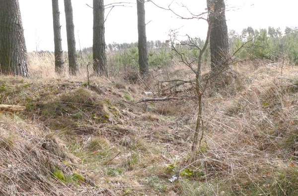 Stanowisko armaty ppanc pod Lubaniem