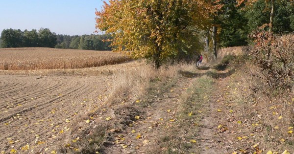 Droga nasze pielgrzymki z miejscowości o nazwie Pielgrzymka.