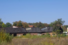 IMGP6083