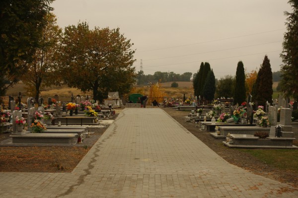 IMGP6116