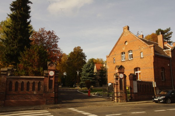 IMGP6621