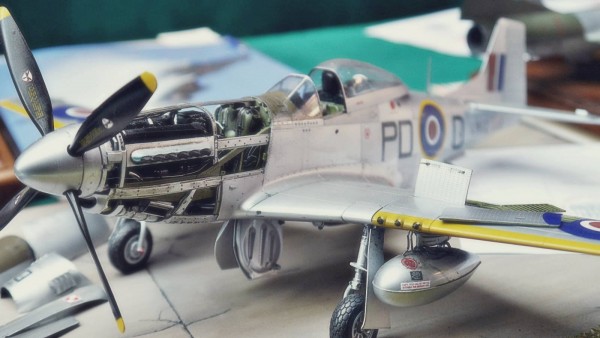 model12