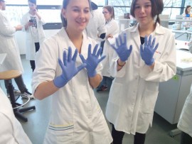bio8
