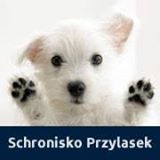 Przylasek