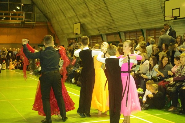 IMGP8013