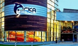 orka