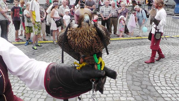sokol