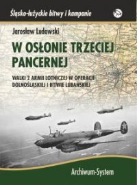 w-oslonie-wybrana-222x300