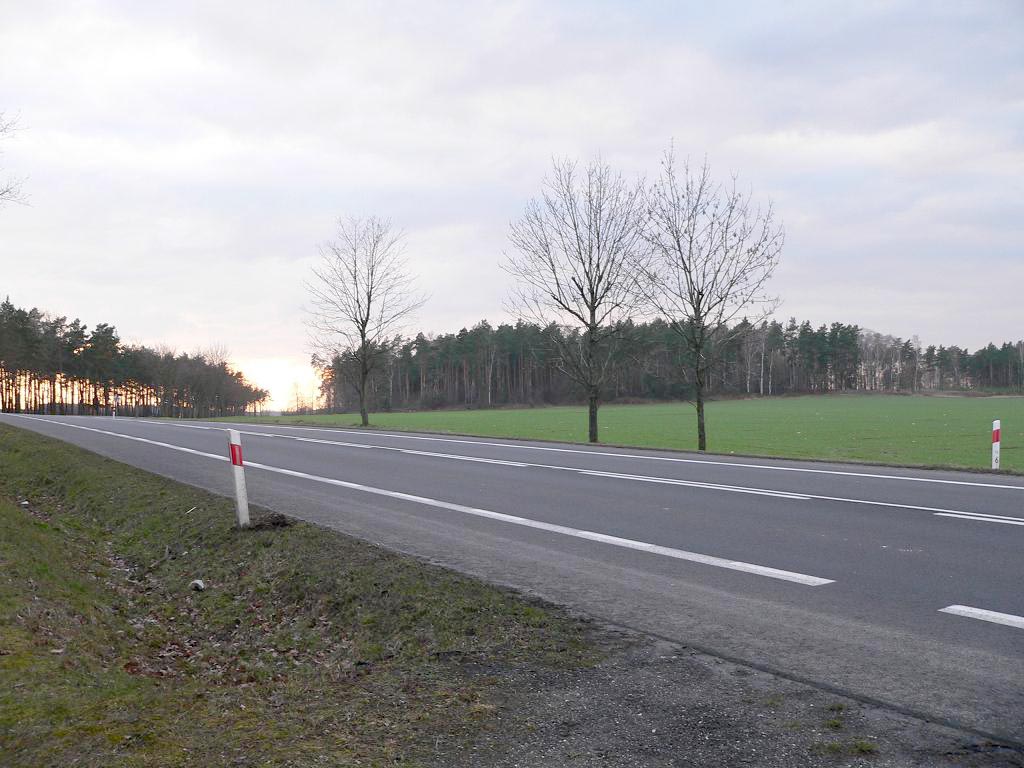 Fot. 7. Wzgórze 246,3 - zdjęcie współczesne (ze zb. autora)